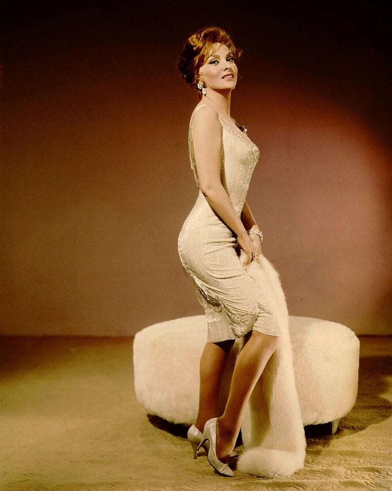 Gina Lollobrigida