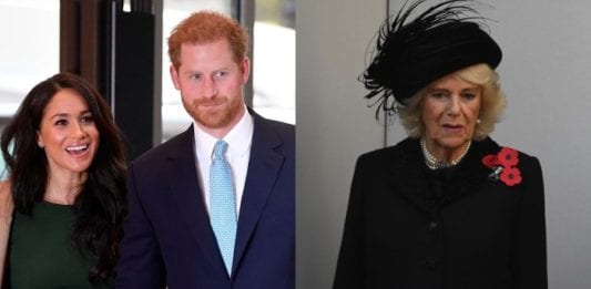 Il Principe Harry e Meghan Markle supportati solo da Camilla? L'indiscrezione