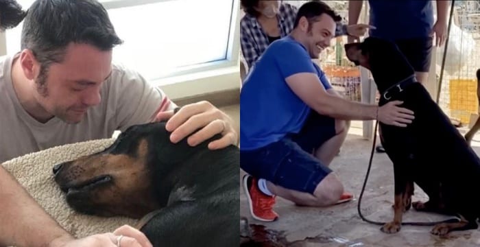 Tiziano Ferro dopo la morte di Beau adotta un altro cane (VIDEO)