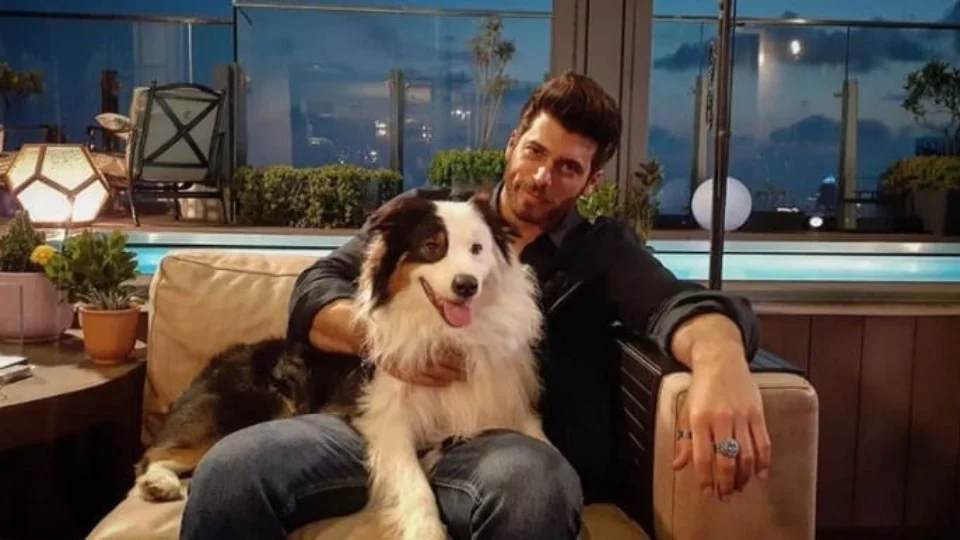 Can Yaman: il fandom ha una richiesta e consigliamo di seguirla