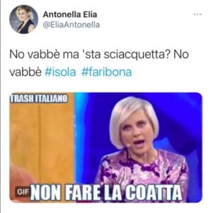 Post Twitter di Antonella Elia