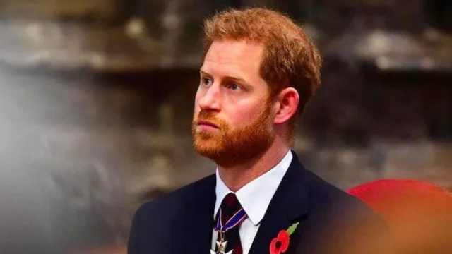 Il Principe Harry a 19 anni lavorava in una fattoria: la foto inedita