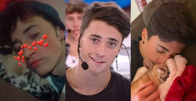 Amici 21, la mamma di Christian annuncia la morte del loro cane