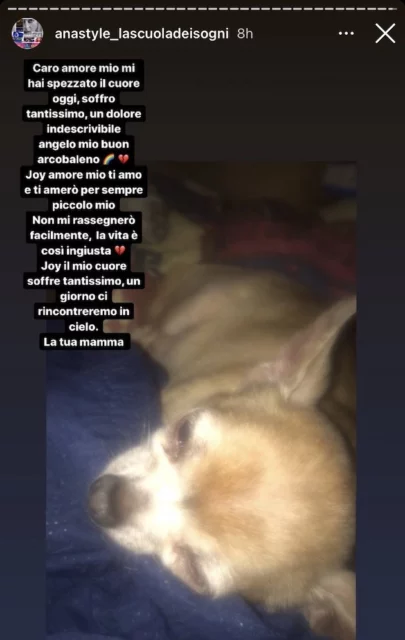amici 21