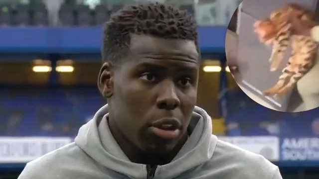 kurt zouma calcia gatto
