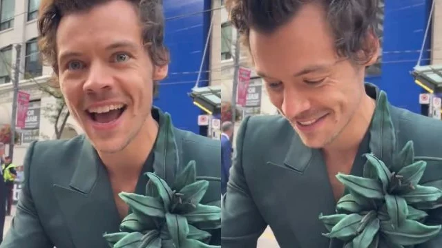 Harry Styles ha fatto coming out alla prima di My Policeman? La teoria del web