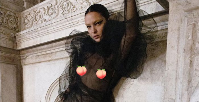 Venezia 79, la modella Mariacarla Boscono in topless sul red carpet