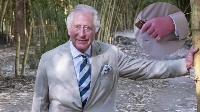 Re Carlo, perché ha le