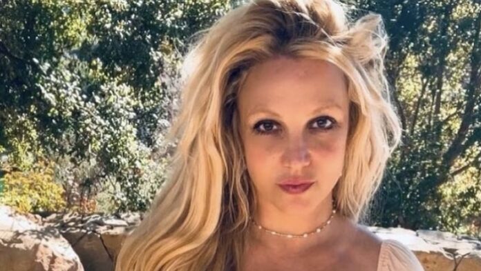 Britney Spears, il figlio minore assente al matrimonio: la replica