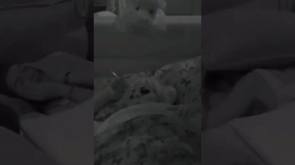 elenoire ferruzi russa gf vip