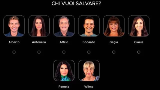 Grande Fratello Vip 7: chi è il più votato secondo i sondaggi