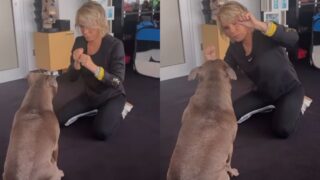 Maria De Filippi gioca con il cane Saki: il tenero video