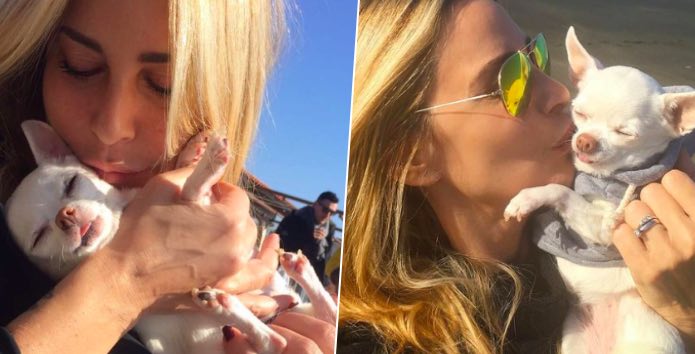 Stefania Orlando, il commovente addio alla cagnolina Margot Stefania Orlando, il commovente addio alla cagnolina Margot