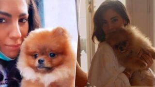 Giulia De Lellis si difende dalle critiche dopo la morte del suo cane