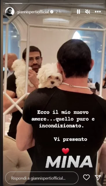 Gianni Sperti rivela di chi si Ã¨ innamorato: il suo nuovo cane