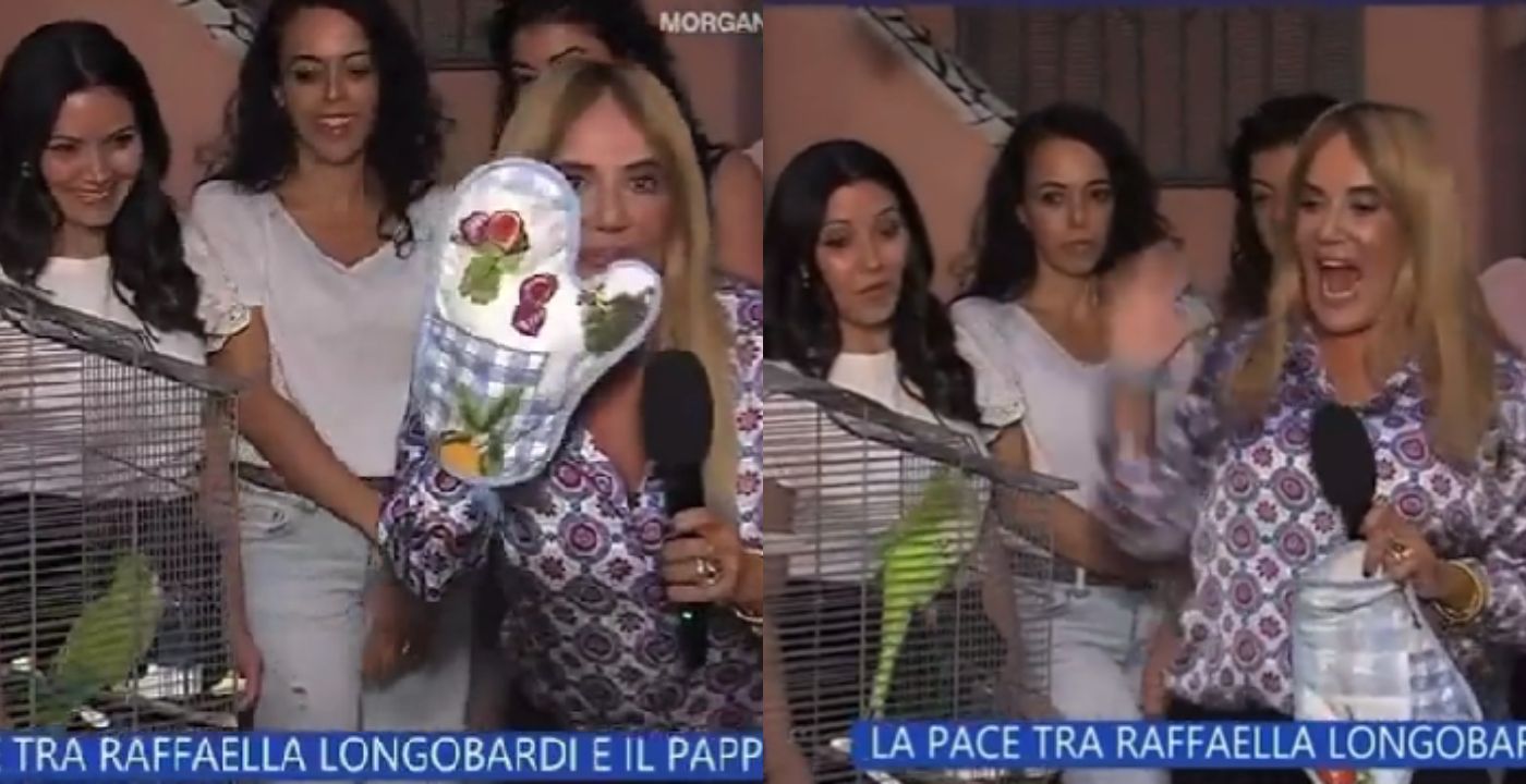 La Vita in Diretta, l’inviata torna dal pappagallo che l’aveva morsa (VIDEO) La Vita in Diretta, l’inviata torna dal pappagallo che l’aveva morsa (VIDEO)