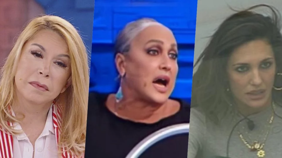 Amici 23 anticipazioni puntata del 5 novembre: news e spoiler