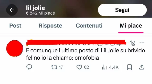 Il like di Lil Jolie su Twitter