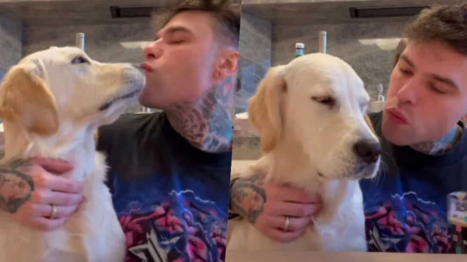Fedez, arriva la dedica social per il cane Paloma