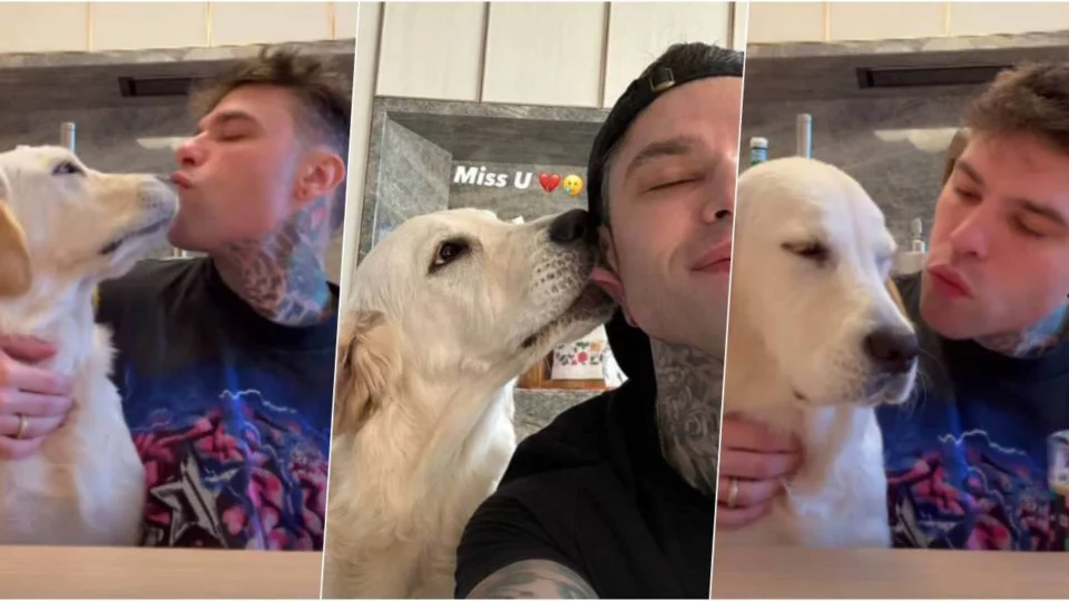 Fedez torna parlare di Paloma e attacca: 