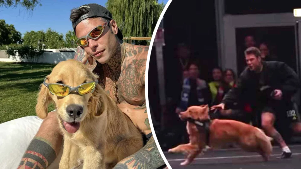 Fedez cane Silvio invade campo partita calcio