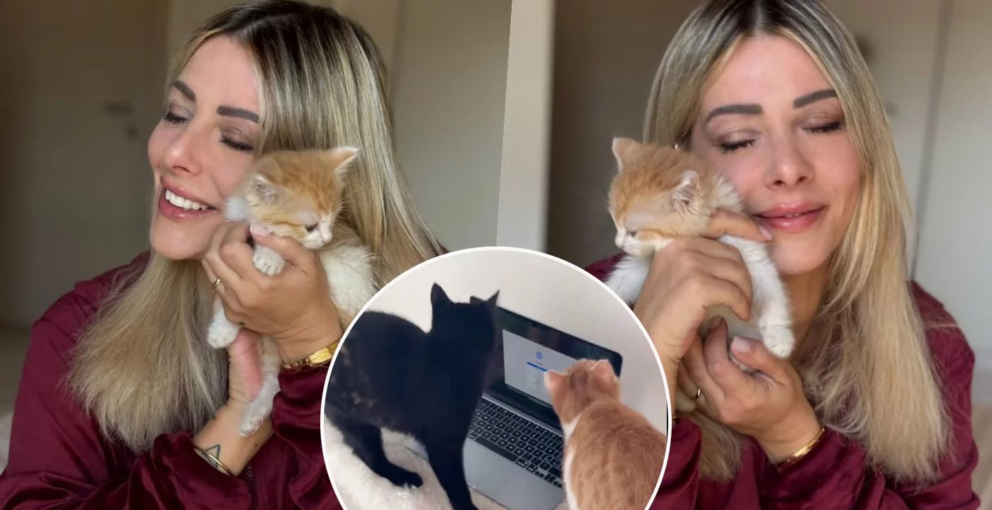 chiara facchetti compra un macbook ai suoi gatti