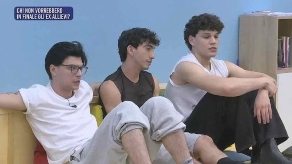 Amici 24 daytime