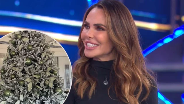 Ilary Blasi ha ancora in casa l'albero di Natale addobbato