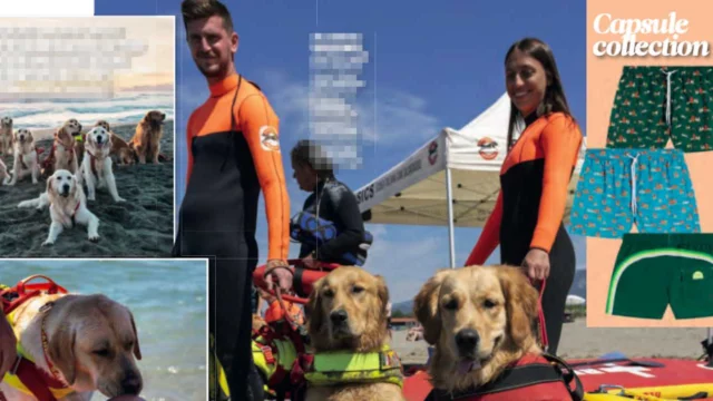 I cani della Sics con i costumi Sundek- siamo eroi siamo di moda