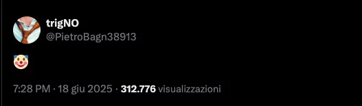 Il post di TrigNO su X