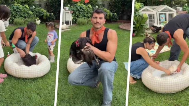 Marco Fantini e Beatrice Valli realizzano una spa… per galline! Per asciugarle un phone da 500 Euro