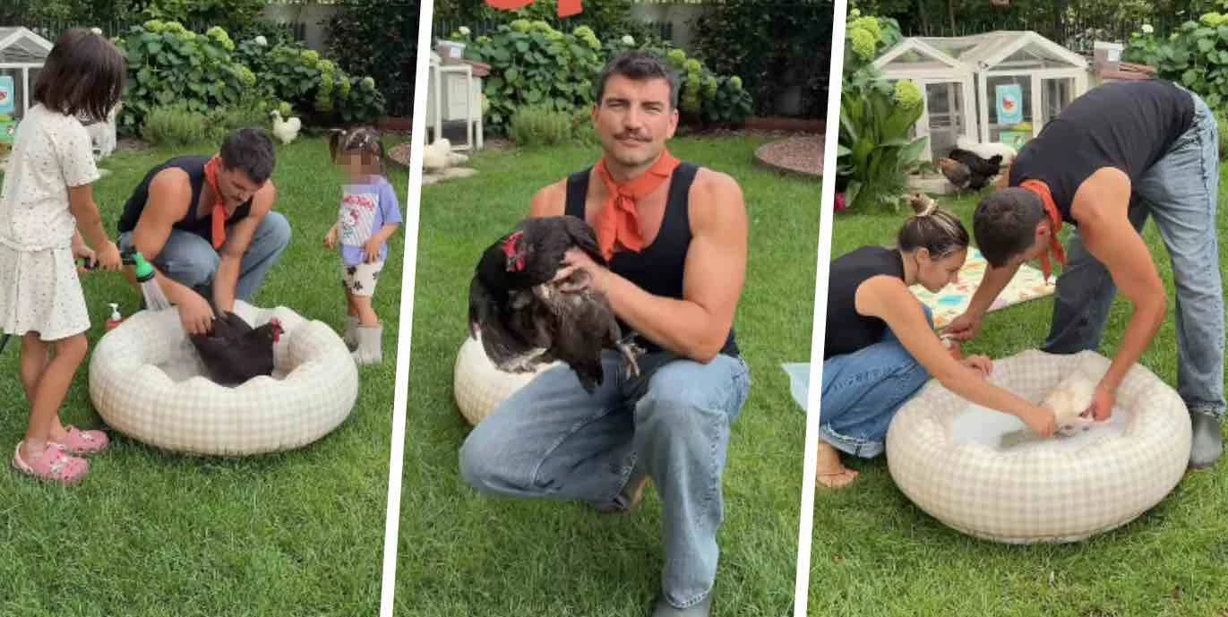 Marco Fantini e Beatrice Valli realizzano una spa… per galline! Per asciugarle un phone da 500 Euro