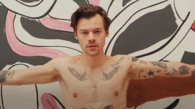 Harry Styles lancia una linea di sex toys