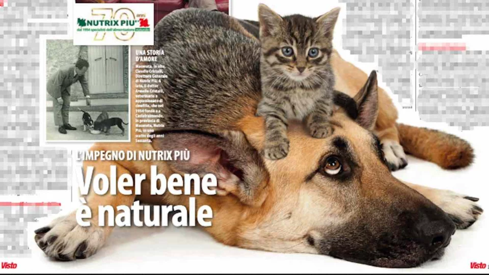 Speciale animali - L'impegno di Nutrix Più: voler bene è naturale