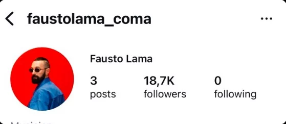Il profilo di Fausto dei Coma Cose