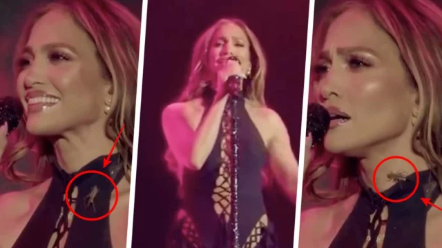 Jennifer Lopez grillo