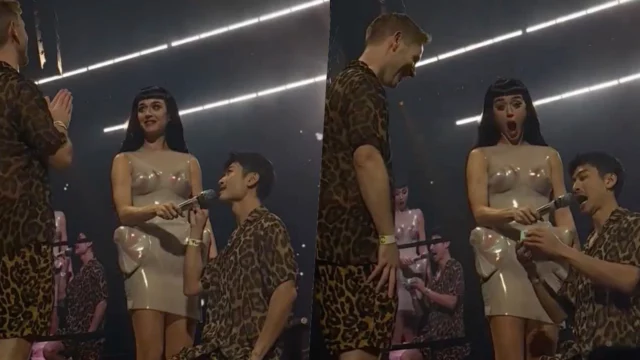 Katy Perry, arriva una proposta di matrimonio durante un suo concerto