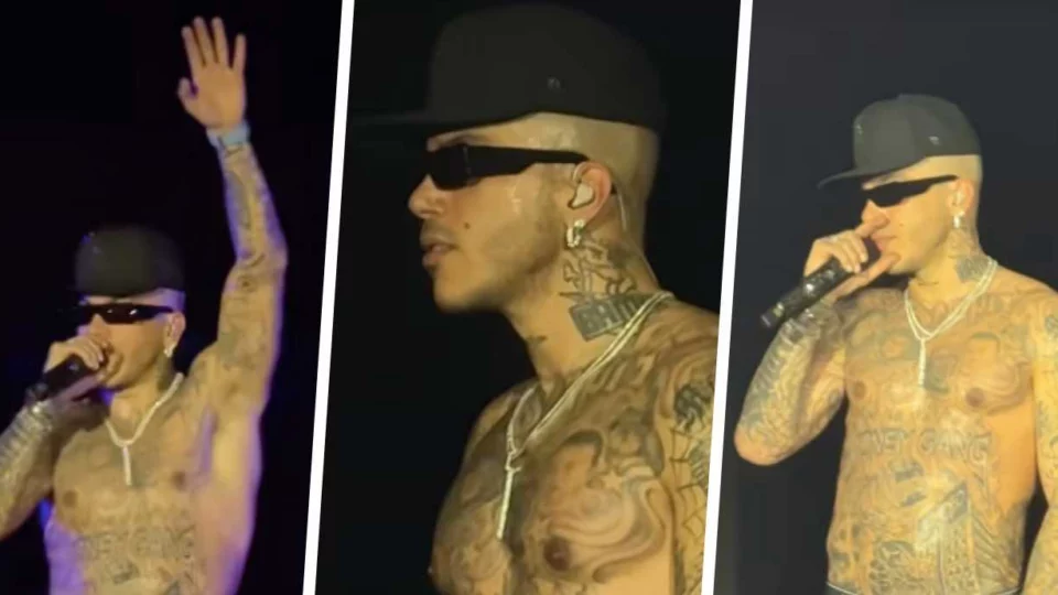 Sfera Ebbasta rissa fan concerto lascia palco