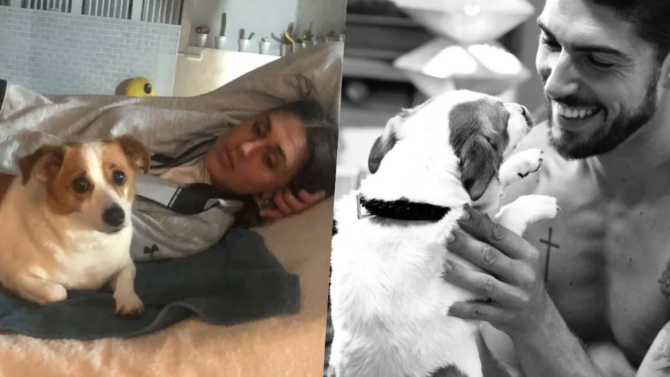 Cecilia Rodriguez e Ignazio Moser, morto il cane Aspirina