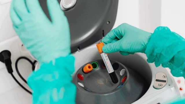 Pietracatella, tragedia madre e figlia