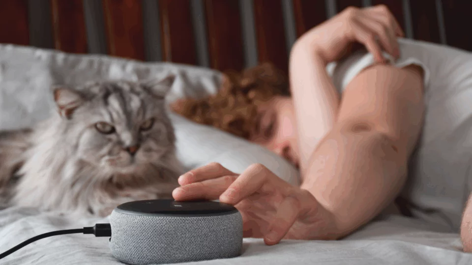 Alexa 2025: le domande italiane