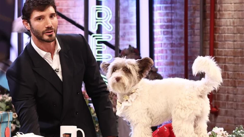 Stefano De Martino si è rifatto il naso? Il conduttore prima e dopo i ritocchini