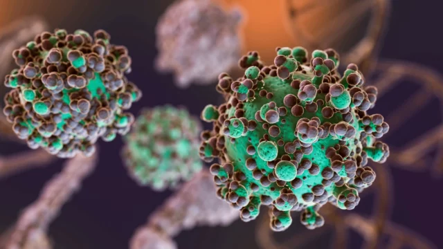 Hantavirus: cos'è e quali sono i sintomi