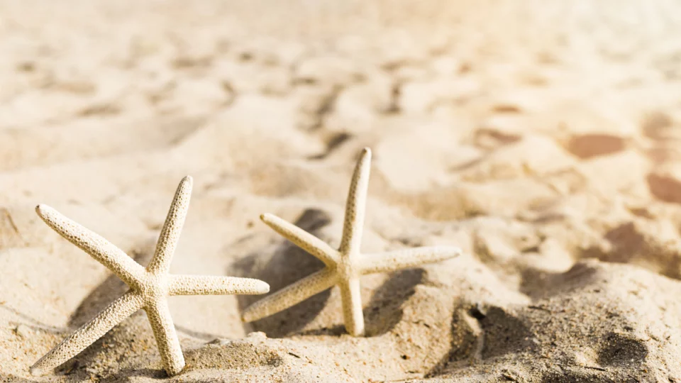 spiagge più care 2026 altroconsumo