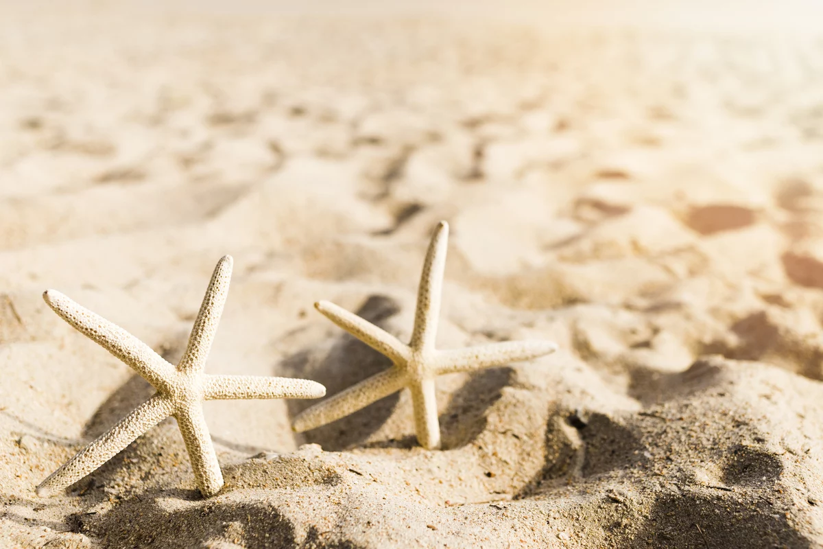 spiagge pi249 care d8217italia 2026 la classifica altroconsumo da Novella2000.it spiagge pi249 care d8217italia 2026 la classifica altroconsumo